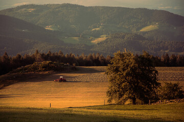 Rural farmland landscape with tractor during golden hour