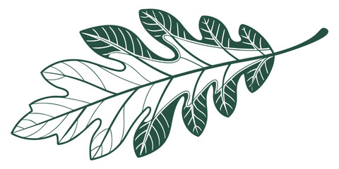 Intricate green leaf illustration © Alone