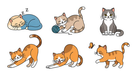 Fototapeta premium Cats in various playful poses.