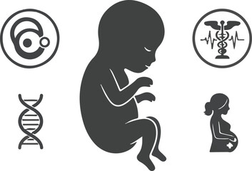Silhouette of a fetus with genetic and developmental symbols