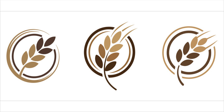 Set of three organic wheat grain logos in natural brown tones for agricultural and food branding vector illustration.