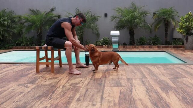 homem faz carinho em cachorro caramelo 