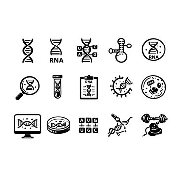RNA Icon Set of 15 Pieces Vector Illustration Isolated on White Background