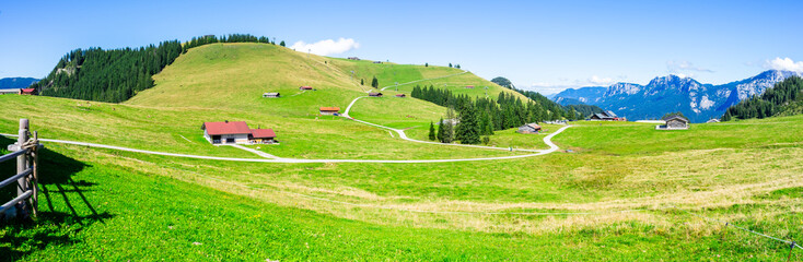 Naklejka premium Wooden houses, cows and meadows on an alpine pasture in Lofer, Austria. An alpine panorama in the background.