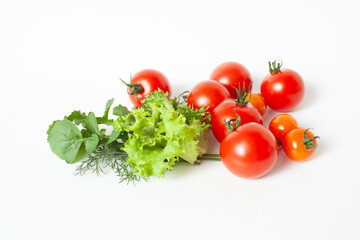 ミニトマトと緑の野菜