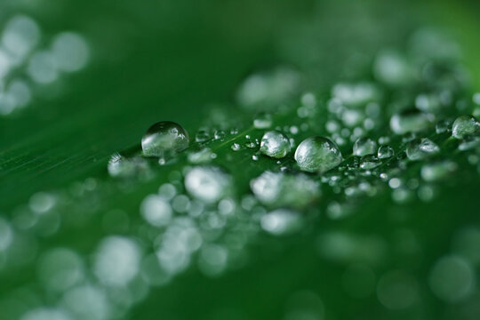 Gotas de agua