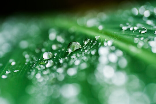 Gotas de agua