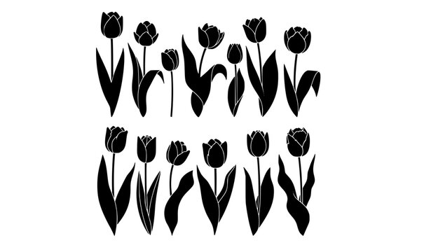 Modern black tulip silhouettes decorative floral icon vector collection