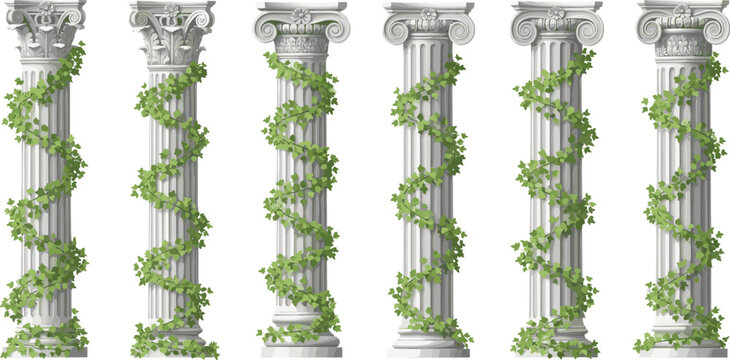 Set of classical stone columns with ivy vines vector illustration, ancient Greek Roman architecture pillars for garden design