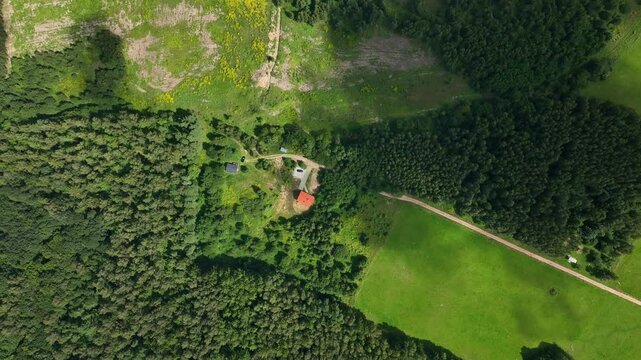 Aerial daylight view shows a red roof house and outbuilding by woodland, a curved driveway to a dirt road by a bright pasture, with parked vehicle and yellow wildflowers.