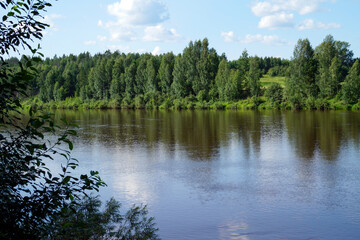 Fototapeta premium Tranquil forest river with lush green shoreline