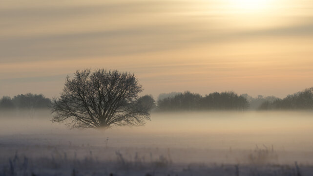 Winterspaziergang