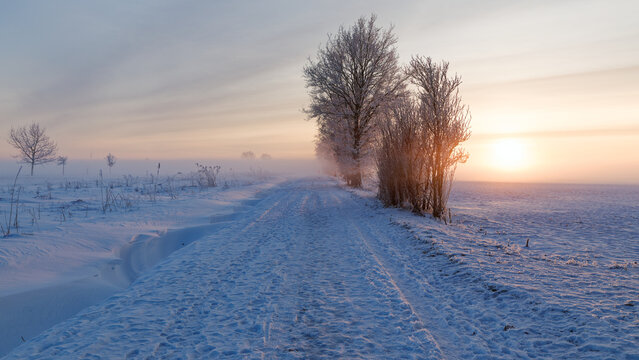 Winterspaziergang