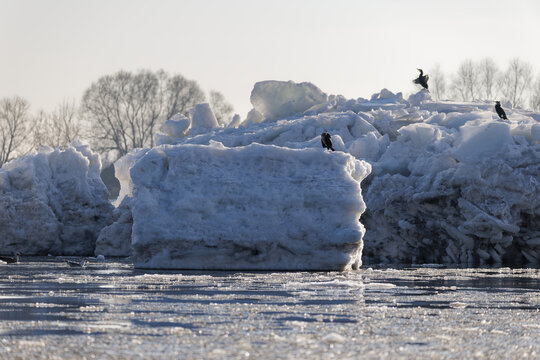 Eisberge bei Geesthacht