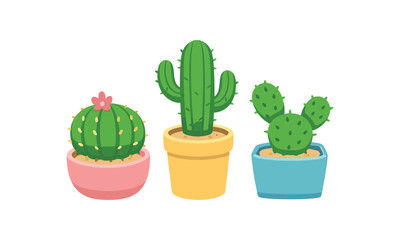 full color flat icon cactus trio different shapes pastel pots desert plant