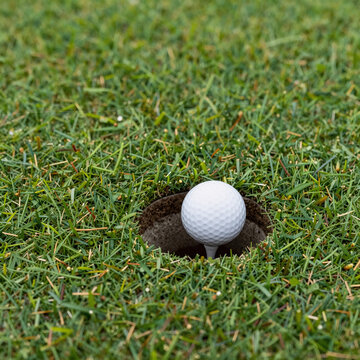 A golf ball rests in a hole on a green field