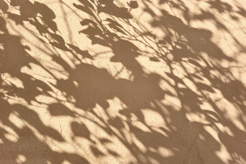 Natural sunlight and leaf shadows on beige concrete wall. Realistic leaves shadow overlay on sand...