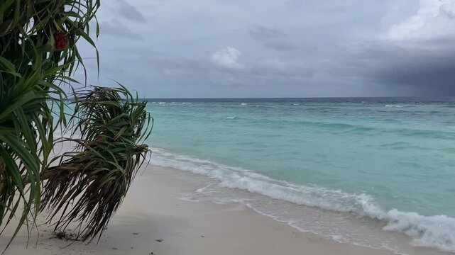 Tropical beach of the Indian Ocean, Ukulhas Island, Maldives, pandanus fruits with green tree leaves, cloudy dark sky, waves on the sandy coast with turquoise water