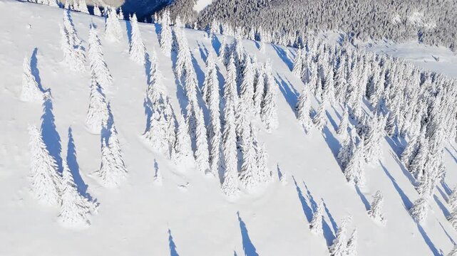 Cinematic aerial view of majestic rocky peak and snowy forest in alpine region, Europe.