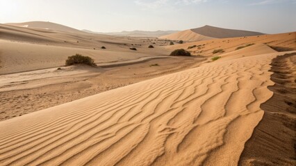 Desert landscape with undulating sand dunes and sparse vegetation under a clear sky, showcasing natural textures and patterns.