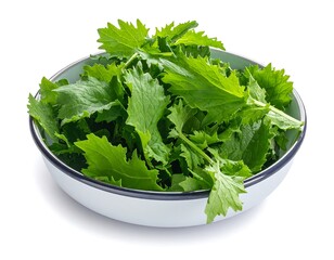A close-up studio shot showcases a ceramic bowl filled with vibrant green leafy greens, isolated against white