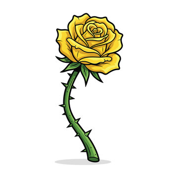 Single yellow rose flower on long stem