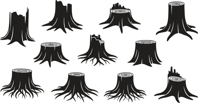 Collection of various tree stumps with roots and trunks