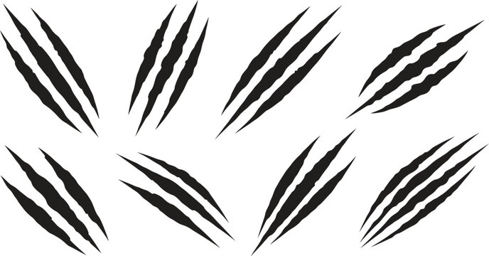 Collection of black claw marks on a white background