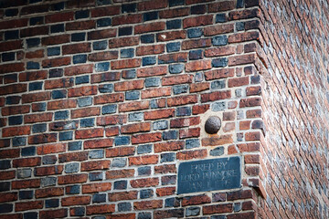 Revolutionary Cannonball