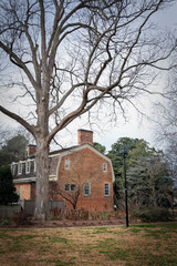 Tall Tree at Land House