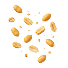Naklejka premium Scattered roasted peanuts with broken pieces, presented individually against a clean white background