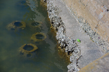 Circular Holes in Weathered Oyster Pots Along Murky Coastal Water by Barnacle-Encrusted Shore. Moody environmental coastal scene showing circular holes in weathered rocks along the water&rsquo;s edge. The m
