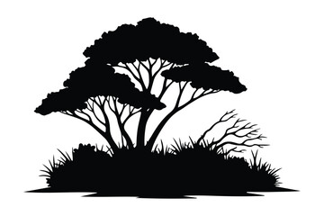 African acacia tree silhouette with grass and dry branches © Mina Akter66