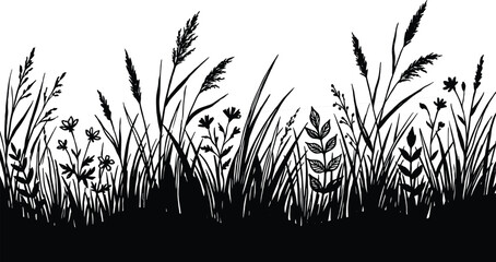 Wild meadow grass and flower silhouettes vector illustration, natural botanical border with reeds and plants, black and white countryside landscape design © It's Raju