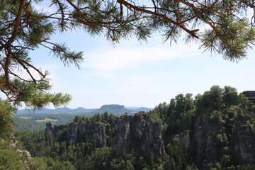 Obraz premium Blick von der Bastei im Elbsandsteingebirge auf den Lilienstein gerahmt von Zweigen eines Nadelbaumes