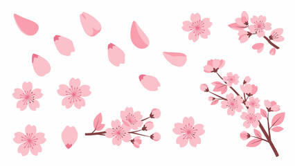 Cherry Blossom Petals and Branches, Spring Flower Elements, Pink Sakura
