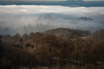 Panorama einer Nebel Landschaft im Th&uuml;ringer Wald mit winterlichen B&auml;umen, Fichten und Laubb&auml;umen in rot, braun und Blaut&ouml;nen im Querformat