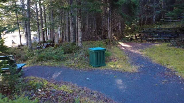 In a peaceful woodland setting, a gravel path winds past a bright green bin and wooden bleachers, all surrounded by trees and moss. Ideal for nature lovers, outdoor recreation, and park scenes.