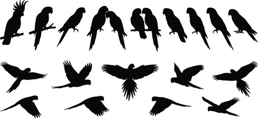 Black parrot and macaw silhouette collection, exotic tropical bird silhouettes set in flying and perched poses, isolated on white background © MstFatema