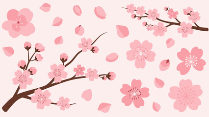 Fototapeta premium Pink Cherry Blossom Branches and Petals Falling on Light Pink Background