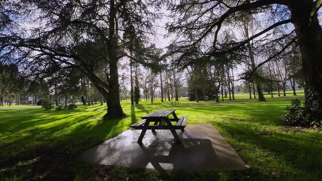 fpv drone bench in the park