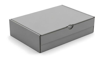 Naklejka premium Gray Shoe Box with Lid and Handle rectangular box