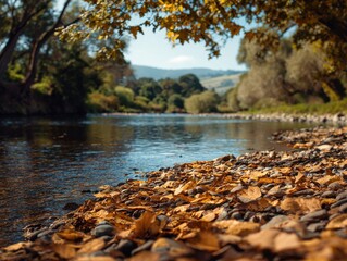 Obraz premium a serene riverside landscape with scattered fallen leaves