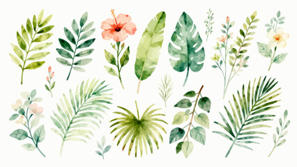 Watercolor tropical plants and flowers