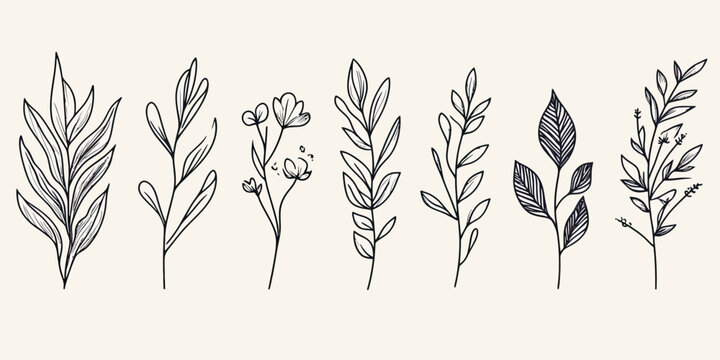 Hand drawn botanical line art set with various leaves and small flowers minimalist black ink sketch style isolated on light background vector illustration for natural design elements and decoration
