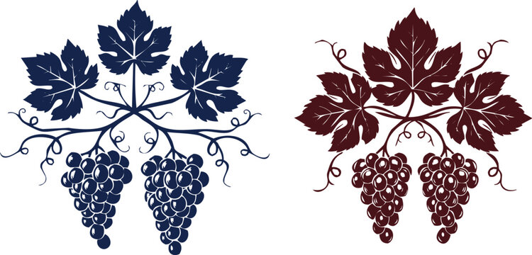 Grape vine leaves and fruit bunch silhouettes for wine label design composition