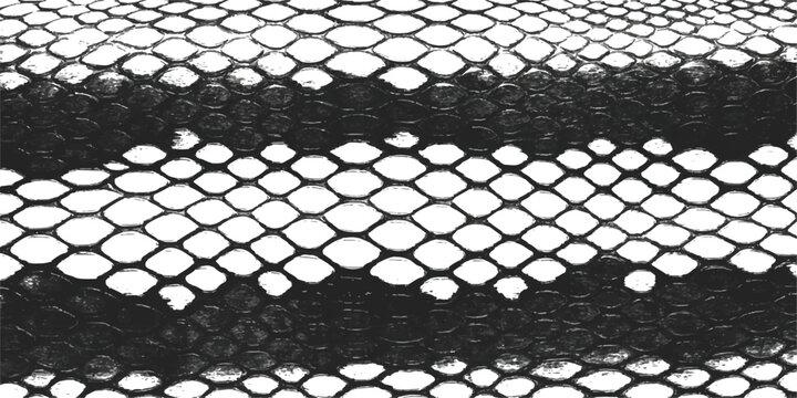 Realistic black and white snake skin texture seamless pattern, abstract reptile scales graphic