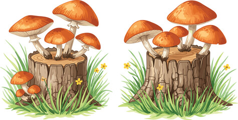 Detailed illustrations of wild orange mushrooms growing on old tree stumps surrounded by green grass and small yellow flowers in forest. © Hosneara