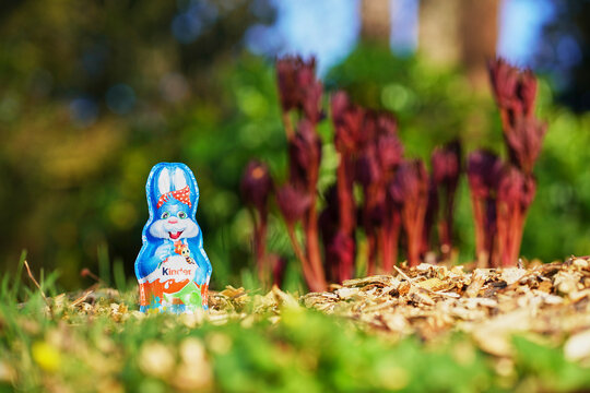 Easter Kinder chocolate bunny close-up on mulch with red spring shoots. Strong branding, vivid foil details, and natural outdoor atmosphere.
