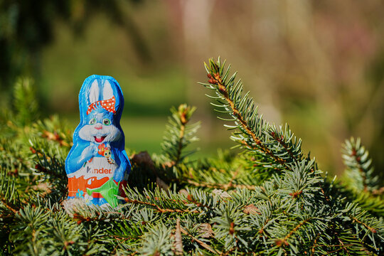 Easter and spring blend as a foil-wrapped Kinder chocolate bunny in front view sits among pine branches, adding festive charm to the natural outdoor setting.